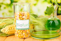 Burton Bradstock biofuel availability