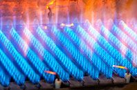 Burton Bradstock gas fired boilers